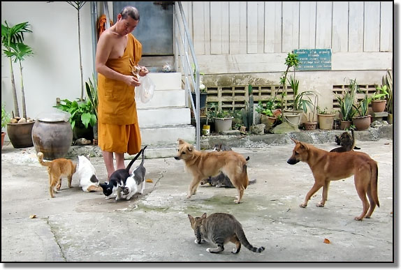Buddhism In A Nutshell