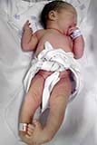 Ellie a few hours after birth - Click for larger image