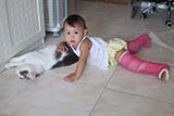Playing with Monty - Click for larger image