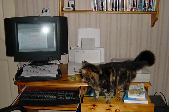 Aptiva S45, Hewlett Packard 5L LaserJet printer, and a neighbour's cat
