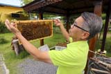 Big Bee Garden, Hat Yai - Click for larger image