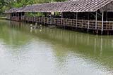 Bueng Thong Seafood and Garden Fishing Park, Hat&nbsp;Yai - Click for larger image