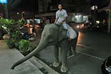 Urban Elephant, Hat Yai - Click for larger image Urban Elephant, Hat Yai - Click for larger image