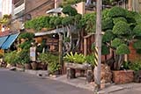 Chill Chill Coffee and Bakery, Hat Yai - Click for larger image Chill Chill Coffee and Bakery, Hat Yai - Click for larger image