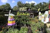 Garden centre, Hat Yai - Click for larger image Garden centre, Hat Yai - Click for larger image