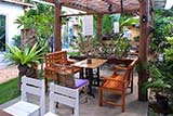 Gobpii Guwan coffee garden, Hat&nbsp;Yai - Click for larger image