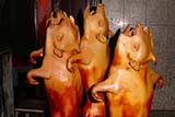 Roasted suckling pigs, Hat&nbsp;Yai - Click for larger image