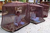 Prataat jedi - Click for larger image Prataat jedi - Click for larger image