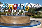 Songkhla Aquarium - Click for larger image Songkhla Aquarium - Click for larger image