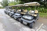 Southern Hills buggies - Click for larger image Southern Hills buggies - Click for larger image