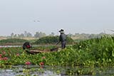 Thale Noi wetlands area, Phattalung province - Click for larger image Thale Noi wetlands area, Phattalung province - Click for larger image