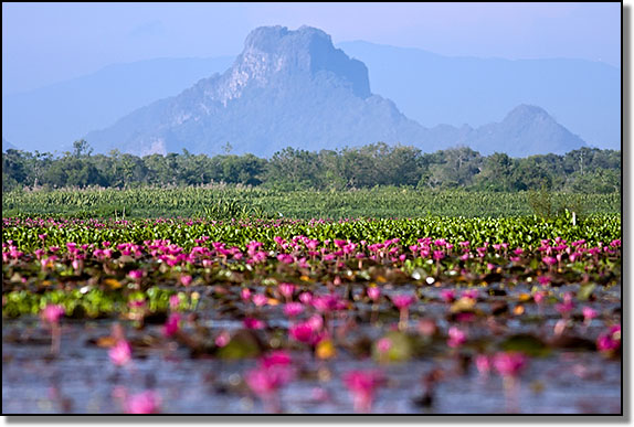 Thale Noi, Phattalung, Thailand