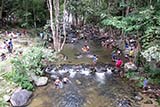 Tone Nga Chang waterfall, Hat Yai - Click for larger image Tone Nga Chang waterfall, Hat Yai - Click for larger image