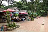 Tone Nga Chang waterfall, Hat Yai - Click for larger image Tone Nga Chang waterfall, Hat Yai - Click for larger image