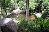 Tone Plew waterfall, Hat Yai - Click for larger image Tone Plew waterfall, Hat Yai - Click for larger image