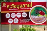 Dengue fever warning, Hat Yai - Click for larger image Dengue fever warning, Hat Yai - Click for larger image