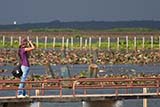 Thale Noi wetlands, Phattalung, Thailand - Click for larger image