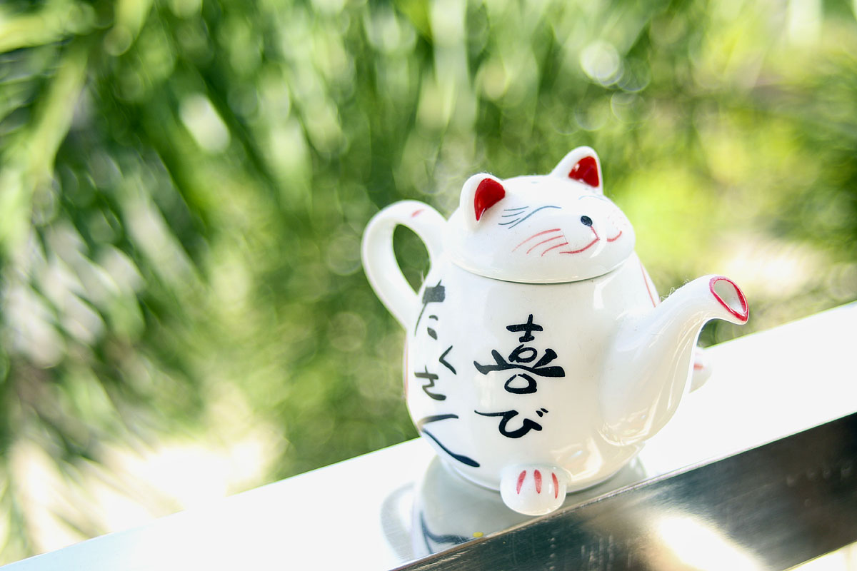 Canon FD 28mm f/2.8 | EOS M6 | FD to EOS M Adapter | ISO:100 | Aperture: f/8 | Shutter Speed: 1/250s - note the horrible bokeh