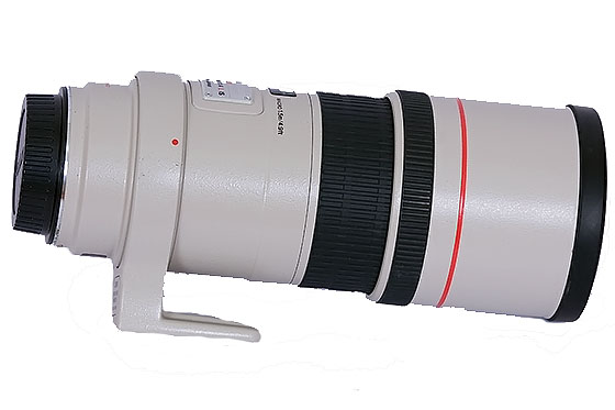 Canon EF 300mm f/4L IS lens