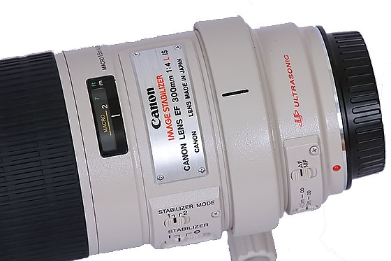 Canon EF 300mm f/4L IS lens