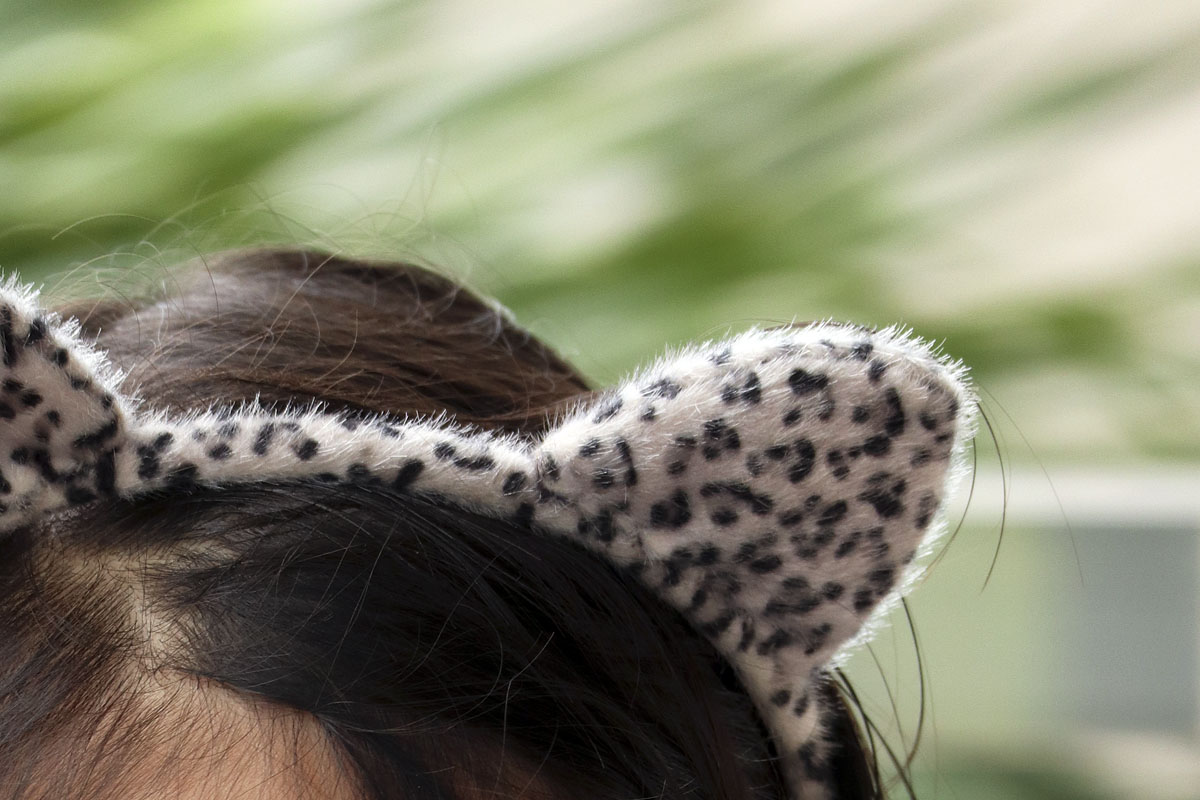 Canon EF-M 55-200mm f/4.5-f/6.3 | Focal length 145mm | EOS M6 | ISO: 500 | Aperture: f/5.6 | Shutter Speed: 1/250s (bokeh sample)