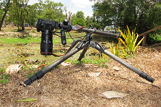 Gitzo GT2541EX Explorer Tripod