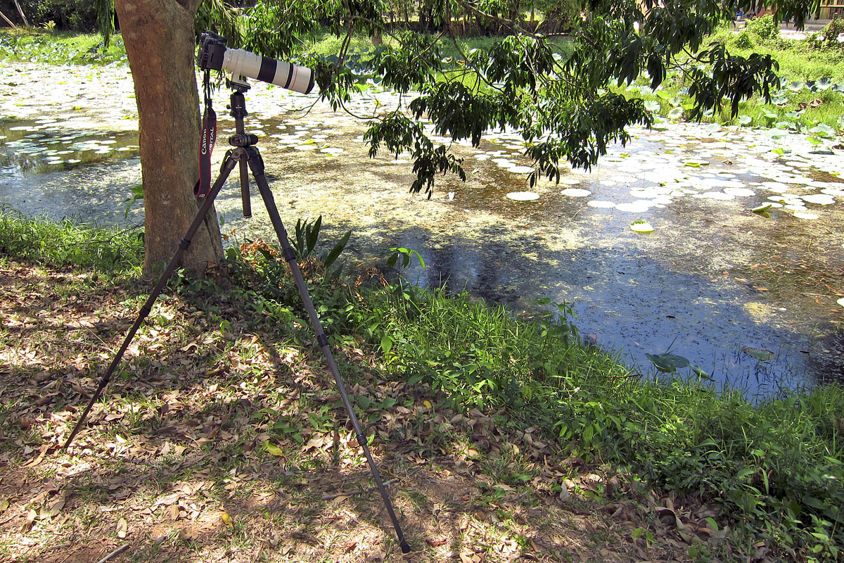 Gitzo GT2541EX Explorer Tripod