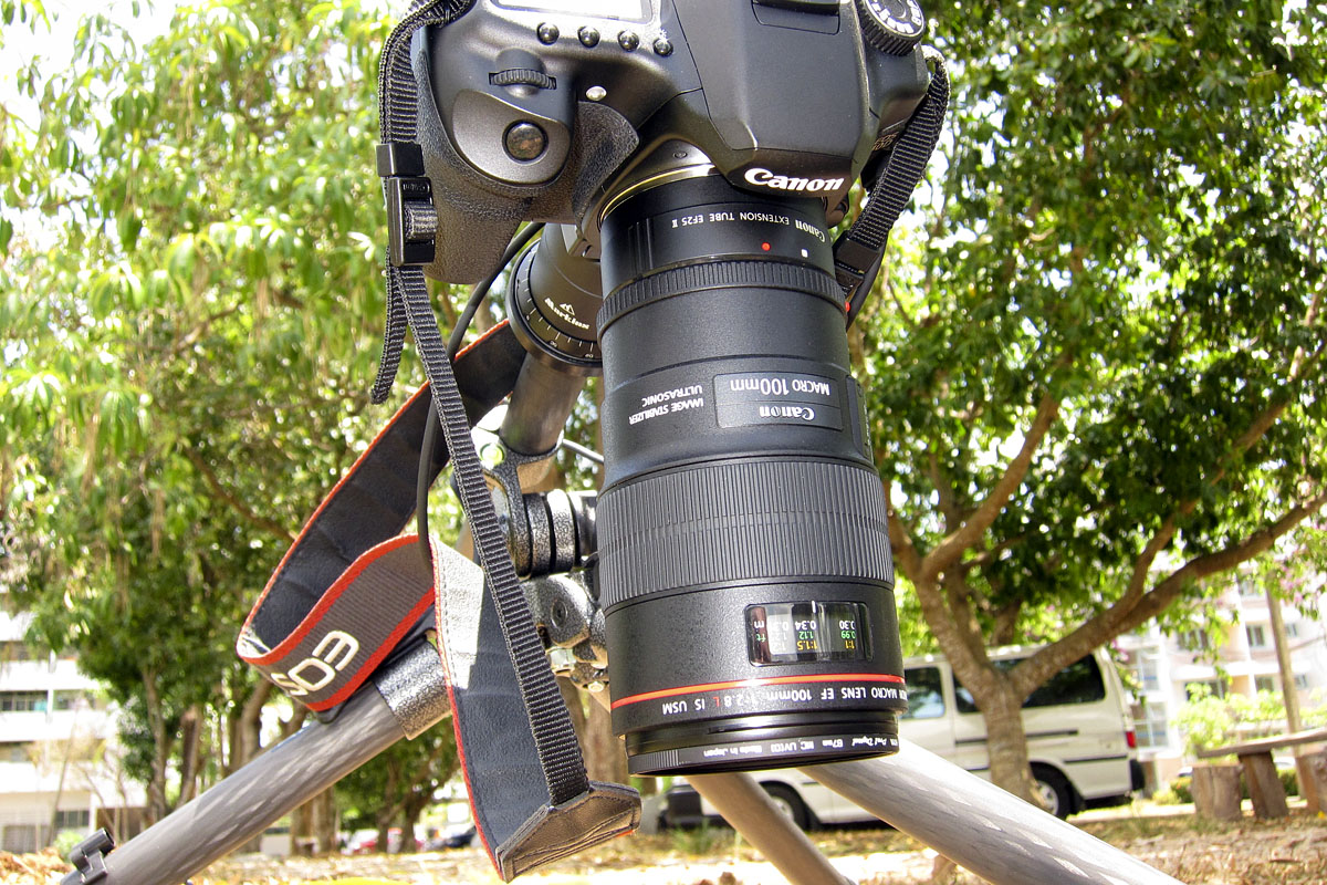 Gitzo GT2541EX Explorer Tripod