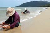 Hunting for shells, Khanom beach, Nakhon Sri Thammarat, Thailand - Click for larger image