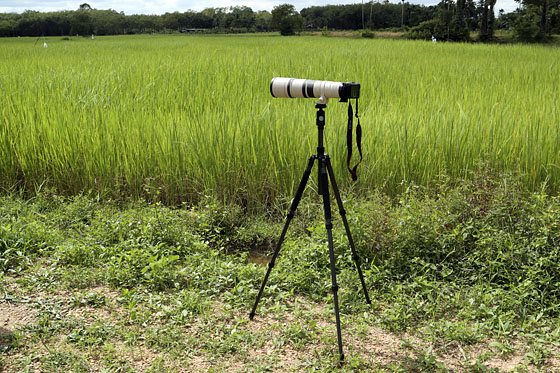 Sirui T-024X Carbon Fiber Tripod