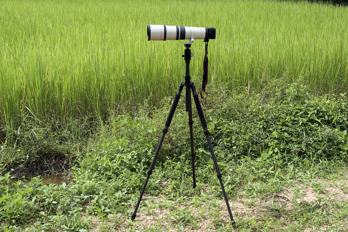 Supporting the Canon EF 400mm f/5.6L