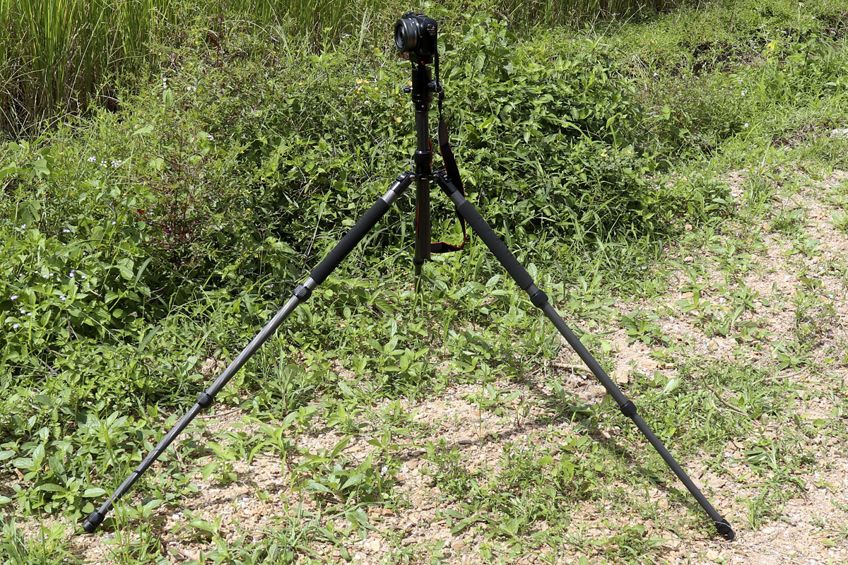 Sirui T-024X Carbon Fiber Tripod Leg Position 2