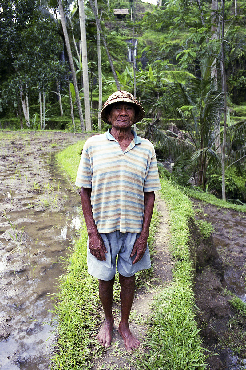 Balinese man in the rice terraces