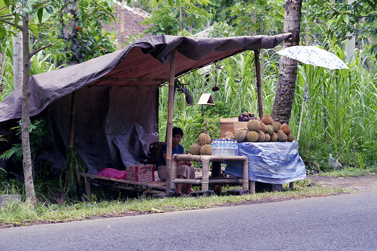 Selling durian by the roadside