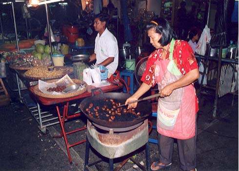Surat Thani, the jumping off point for Samui Island