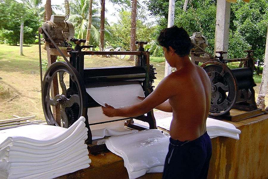Rolling out rubber sheets ready to be taken to market