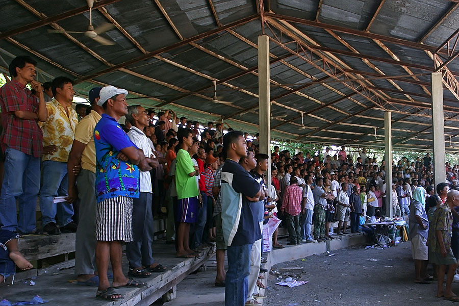 Gambling, as with most sport in Thailand, is the main attraction with bullfights