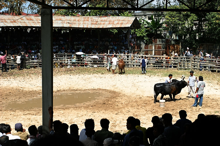 Final preparations before the bullfight