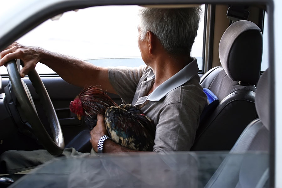 Thai airbag