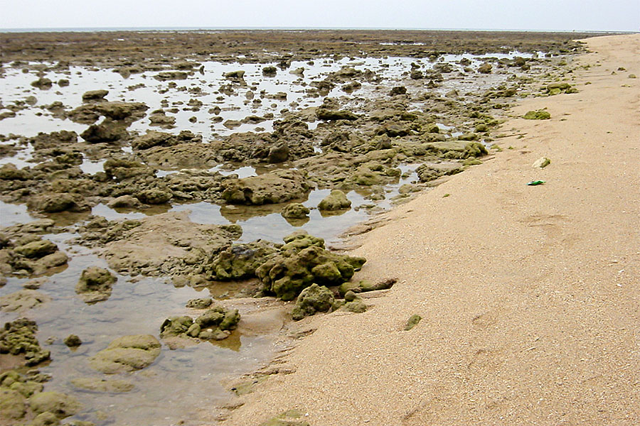 These rocks make wading out for a swim in the sea very difficult at Koh Lanta