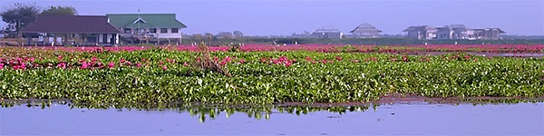 Thale Noi, Phattalung