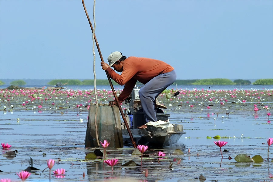 A local man fishing at Thale Noi, Phattalung province, Thailand