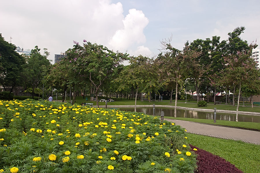 One of the few green spaces in Bangkok