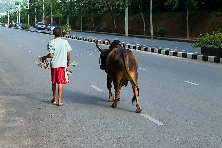 If you drive in Thailand you must expect anything and everything