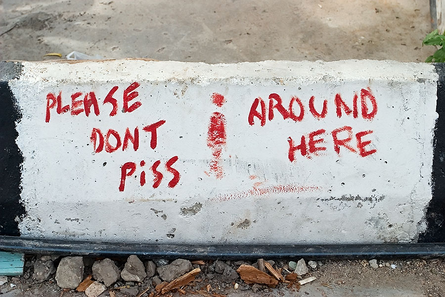 There seems to be a lack of toilet etiquette in Georgetown