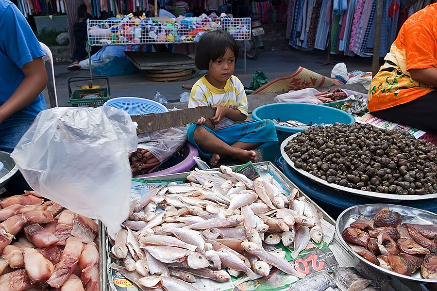 Trying to keep flies off fish at a Thai fresh market