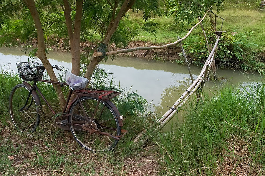 There are rice fields adjacent to Phattalung main town