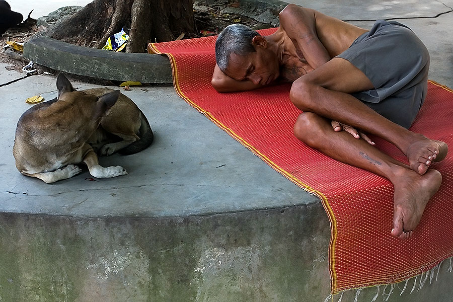 The Land of Nod