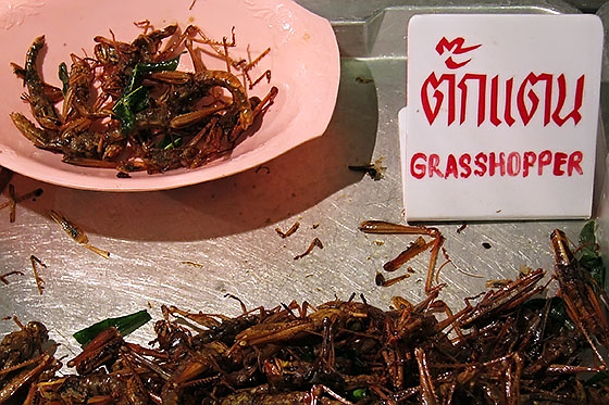 One of the more exotic dishes available in Thailand - how would you like your grasshoppers cooked, sir?