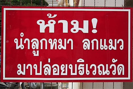 Thai Sign